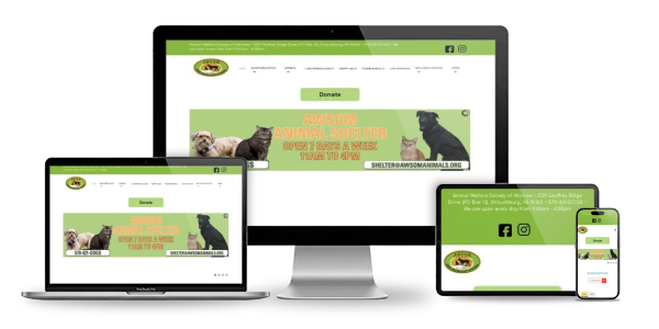 SEO report screenshot for awsomanimals.org