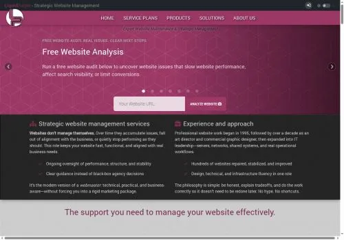 SEO report screenshot for liquidpurple.com