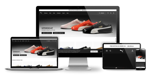 Website displayed across devices