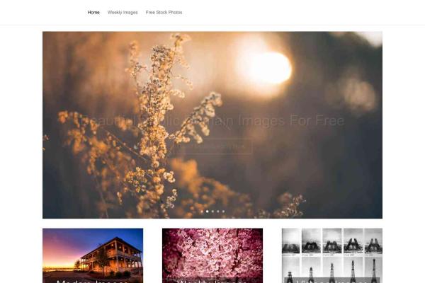 Public Domain Archive
